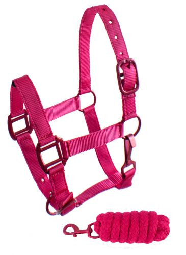 Showman Pony Triple Ply Nylon Halter w/ Lead Rope