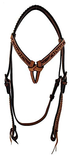 Showman Argentina Cow Leather Futurity Knot Headstall w/ Floral Tooling & Copper Dots