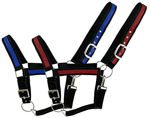 Black Draft Horse Size Nylon Halter w/ Blue or Red Accent Color
