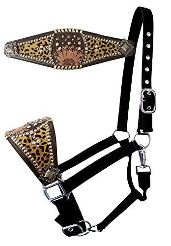 Showman Leather Bronc Halter w/ Tooled Sunflower & Cheetah Print