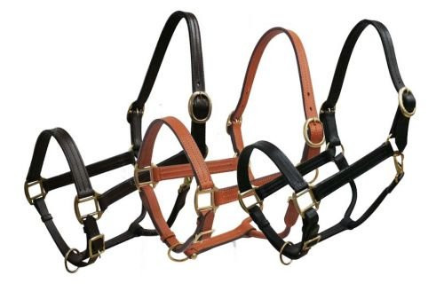 Leather Horse Size Halter w/ Brass Hardware