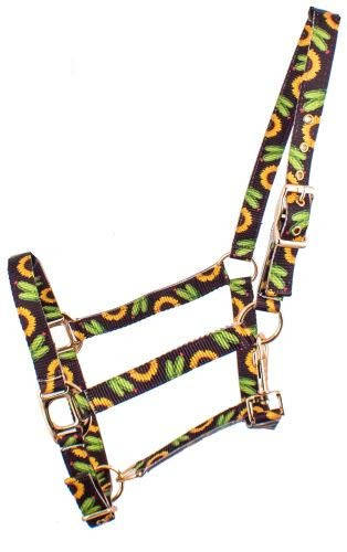 Showman Premium Nylon Halter w/ Sunflower & Cactus Design