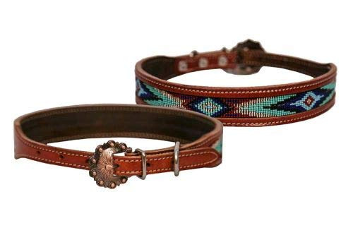Showman Couture Genuine Leather Dog Collar w/ Turquoise Beaded Inlay