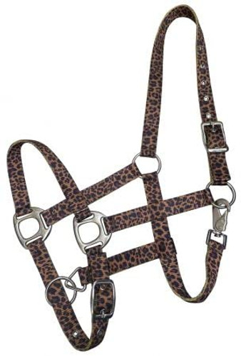 Showman Nylon Halter w/ Cheetah Design