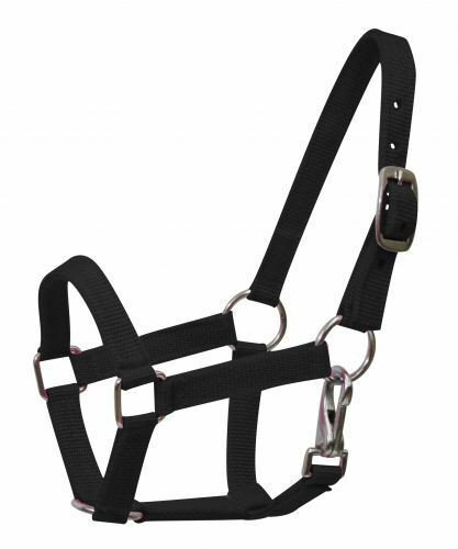 Mini Nylon Halter w/ Nickel Plated Hardware