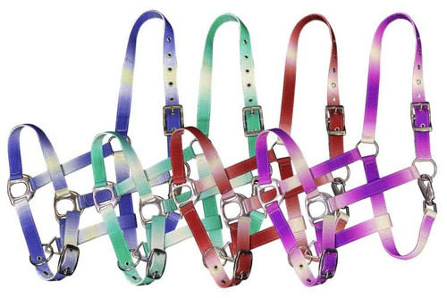 Showman Ombre Nylon Halter