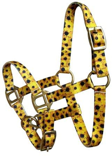 Showman Foal/Mini Nylon Sunflower Print Halter