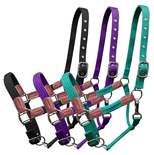 Showman Nylon Halter w/ Leather Accents