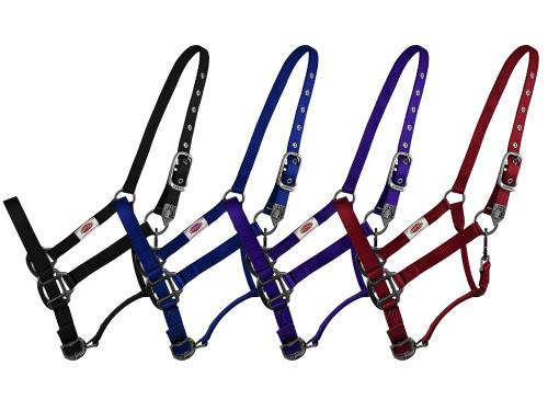 Showman Premium Nylon Halter w/ Heavy Duty Hardware