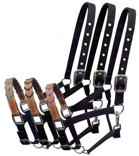 Showman Nylon Halter w/ Leather Braided Accent Nose