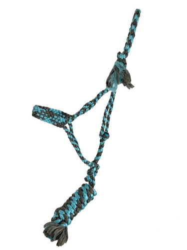 Showman Brown & Light Blue Braided Mule Tape Halter