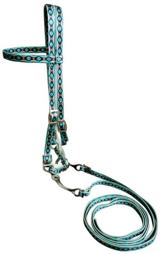 Showman Teal Southwest Print Nylon Browband Bridle