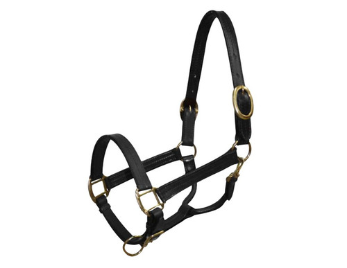 Cob Size Leather Halter w/ Brass Hardware