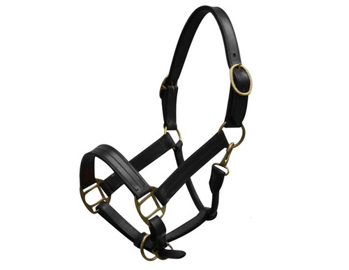 Yearling Leather Halter w/ Brass Hardware