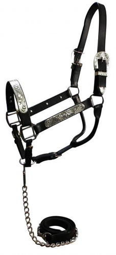 Leather Show Halter w/ Silver Accents & Matching Lead