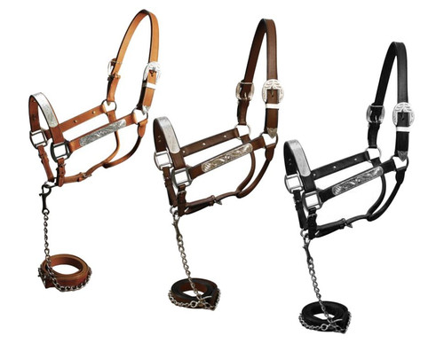 Leather Show Halter w/ Silver Accents & Matching Lead