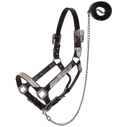 Showman Silver Bar Leather Show Halter w/ Lead - Average