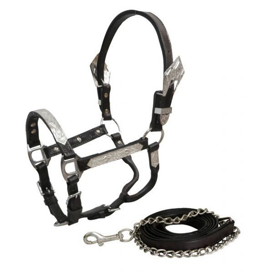 Showman Mini Dark Leather Show Halter w/ Lead