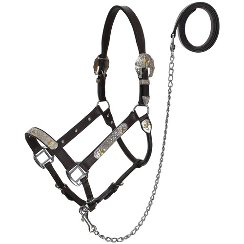 Showman Silver & Gold Star Leather Show Halter with Lead - Average