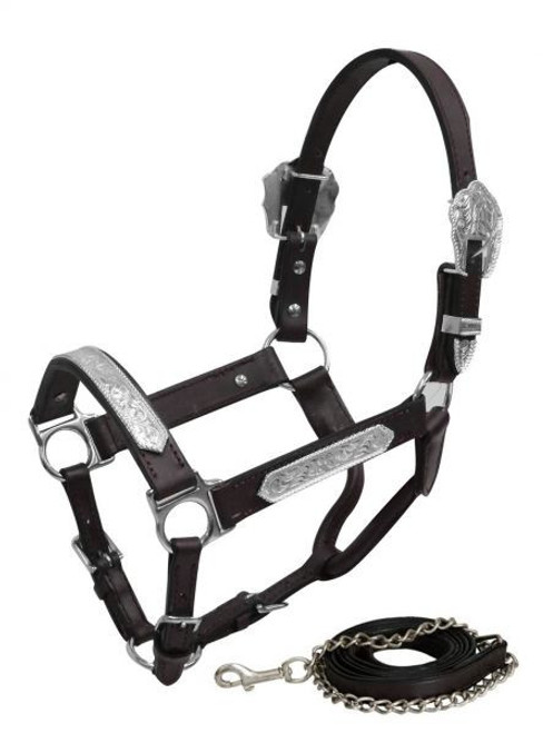 Showman Yearling Size Leather Show Halter w/ Engraved Silver Accents