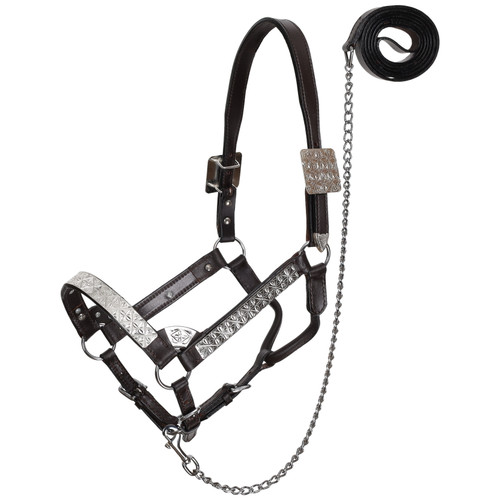 Showman Silver Floral Leather Show Halter with Lead - Average