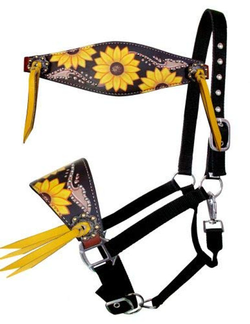 Showman Bronc Halter w/ Sunflower Leather Noseband