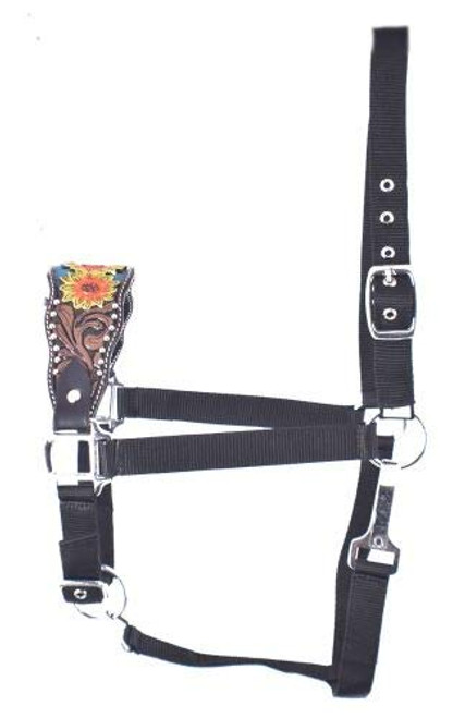 Showman Nylon Bronc Halter w/ Painted Sunflower Leather Noseband