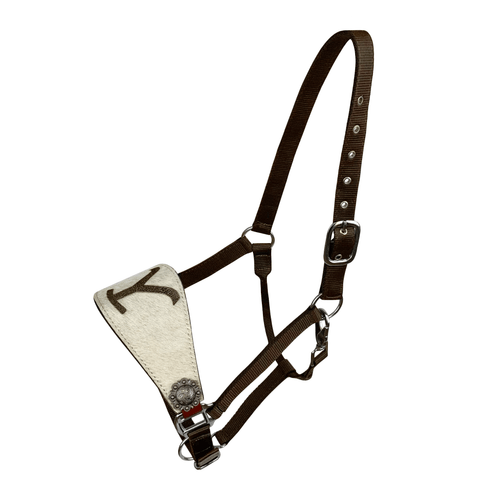 Showman Nylon Bronc Halter w/ Leather Cowhide "Y" Branded Noseband
