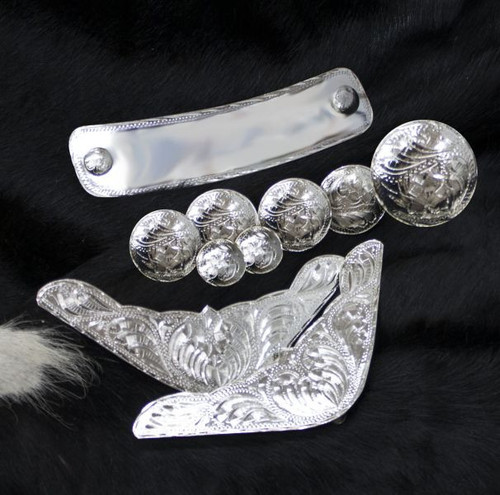 10 Piece Engraved Silver Trim Kit