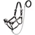 Silver Floral Leather Show Halter with Lead - Average