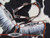 Showman Bejeweled Black & White 4 Piece Headstall & Breast Collar Set