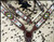 Showman Leather Headstall & Breast Collar Set w/ Beaded Southwest Arrow Design