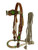 Showman Leather Bosal Headstall Set w/ Painted Cactus Design