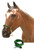 Showman Braided Nylon Rope Noseband Tie Down w/ Strap Showman Braided Nylon Rope Noseband Tie Down w/ Strap