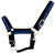 Black Draft Horse Size Nylon Halter w/ Blue or Red Accent Color
