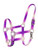 Showman Ombre Nylon Halter
