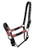 Showman Nylon Halter w/ Leather Accents