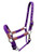 Showman Nylon Halter w/ Leather Accents