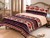 Queen Size 3 Piece Borrego Comforter Set w/ Southwest Design