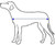 Showman XSmall Teal & Orange Southwest Design Dog Blanket