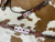 Showman Rider's Luck Tooled Leather Browband Headstall & Breast Collar Set