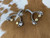 Showman Toddler Stainless Steel Spurs w/ Brass Rowels & Buttons