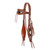 Showman Cattle Drive Browband Headstall & Breast Collar Set