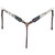 Showman Copper Hide Classics Browband Headstall & Breast Collar Set