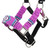 Showman Pony Violet Wave Mohair Wool Bronc Halter