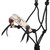 Showman Horse Haven Cowboy Knot Halter w/ Lead