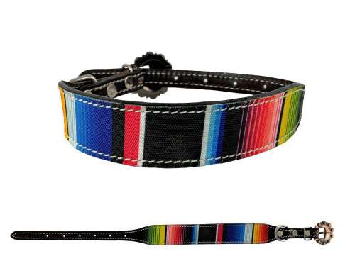Showman Couture ™ Genuine leather dog collar with painted 3D flower accent. main image 0