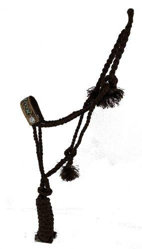 Showman Nylon Mule Tape Halter w/ Hand Painted Arrow Design - Carolina ...