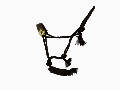Showman® Woven Black nylon mule tape halter