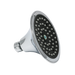 Chrome Sava Spa Showerhead